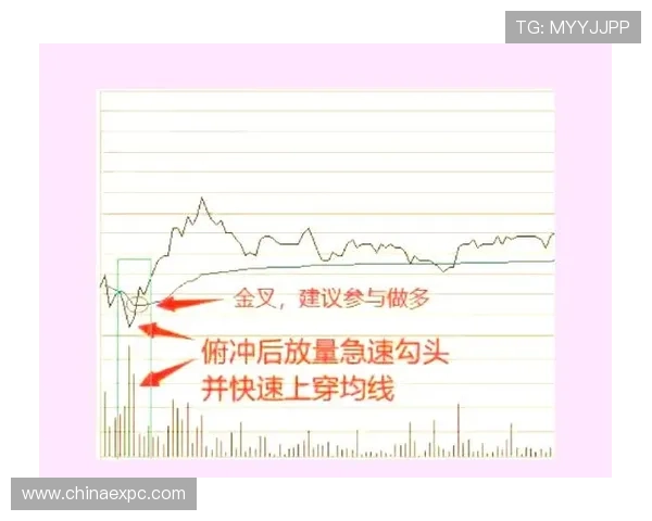 掌握赛事下注策略实现盈利的实用技巧与常见错误避免方法 掌握赛事下注策略实现盈利的实用技巧与常见错误避免方法