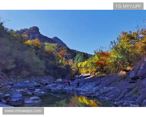 世外桃源娱乐：探索那些隐藏在山水之间的娱乐宝地，感受世外桃源带来的心灵净化与欢乐体验