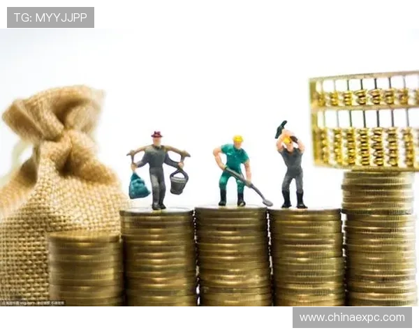 十六浦赌博娱乐城高额返水政策，帮助玩家最大化收益和娱乐体验