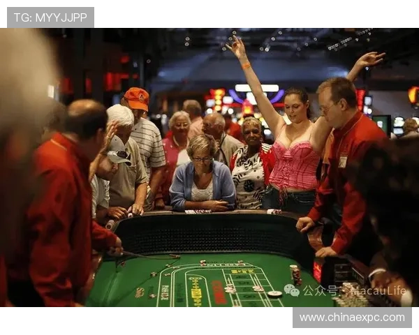 嘉华国际赌场：深入分析其合法运营背景与行业地位，保障玩家权益