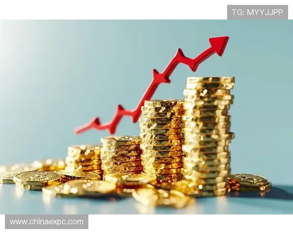 大赢家平台：专业安全的投资环境，打造您的专属财富增长通道