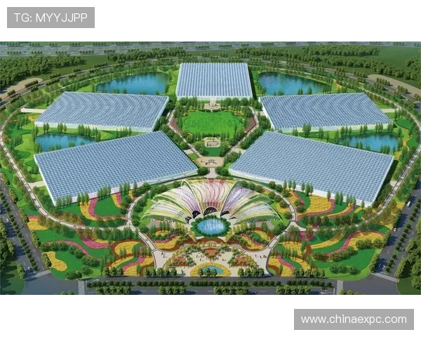 天马国际：引领全球贸易的新标杆，打造多元化国际合作平台