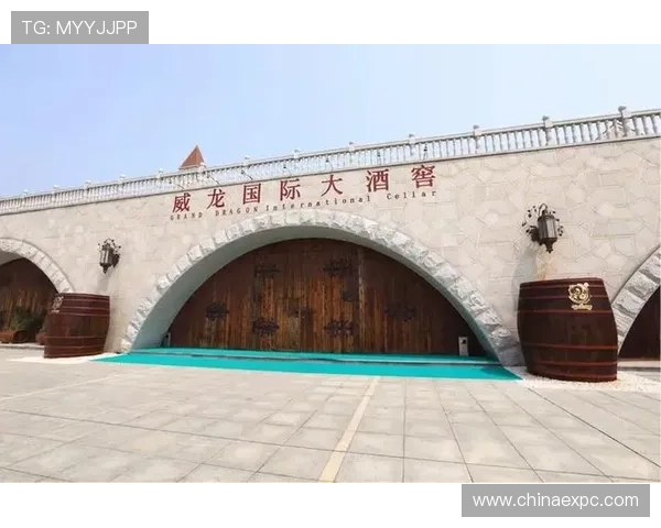 威龙国际：为客户提供全方位的国际金融解决方案