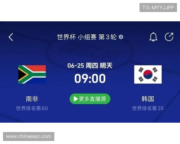 南非对韩国比赛关键数据统计及球员表现全面解析