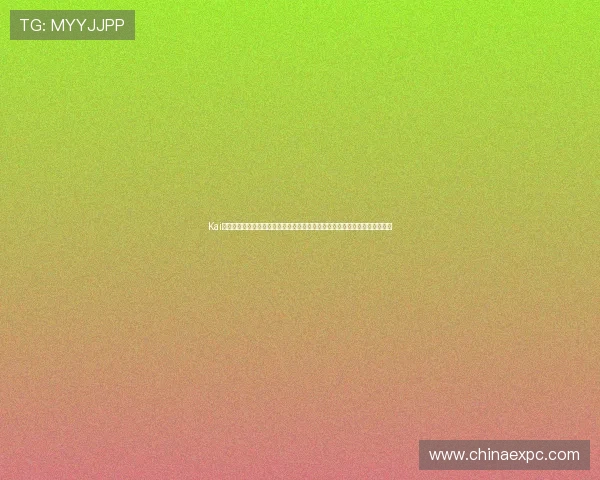 Kai云体育深度报道世界杯热门球队战术分析与明星球员表现，提升用户观看体验
